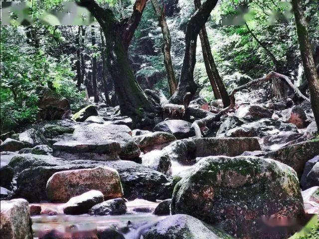 逃离霍比特人洞屋