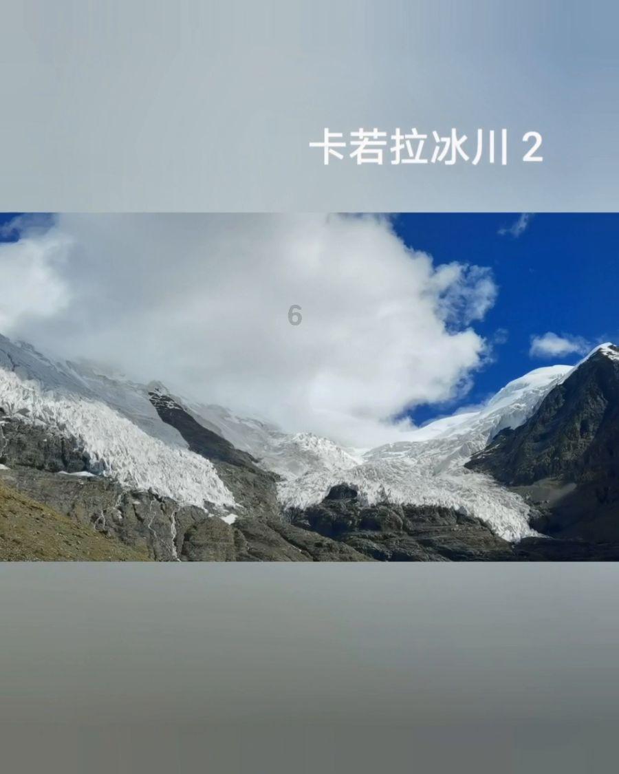 时尚POLO衫