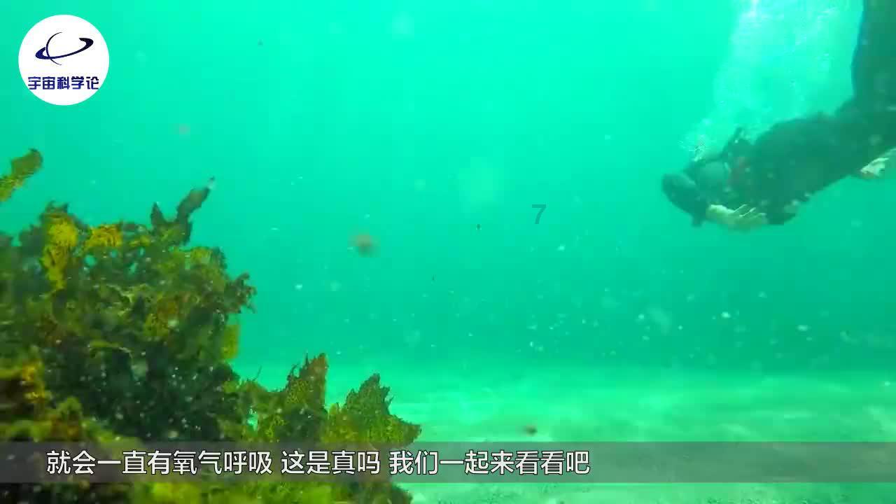 关晓彤颁奖背影杀,这黑丝大长腿太顶级了,看一次羡慕一次……