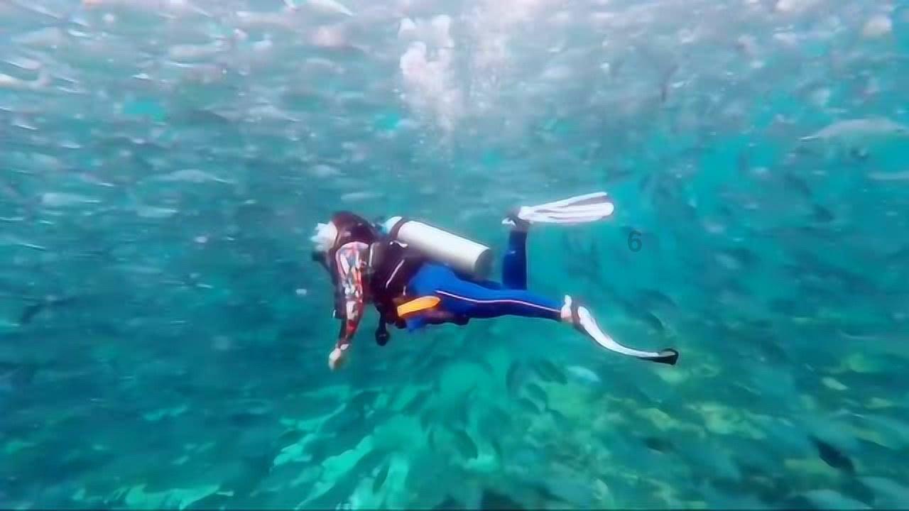 云岩区离退休干部:谈心得 话感悟 抒心声