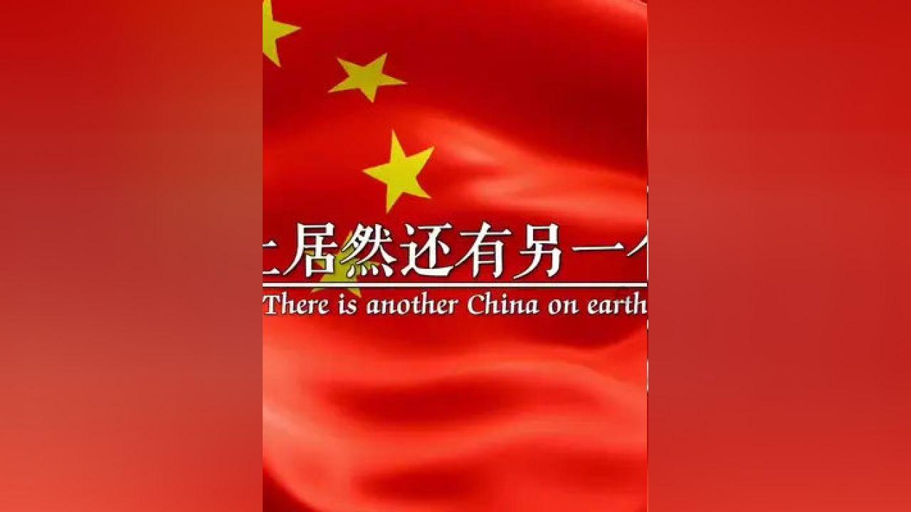 拯救受伤的猫