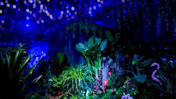 新鲜出炉!2024年春节活动合集“龙”重登场